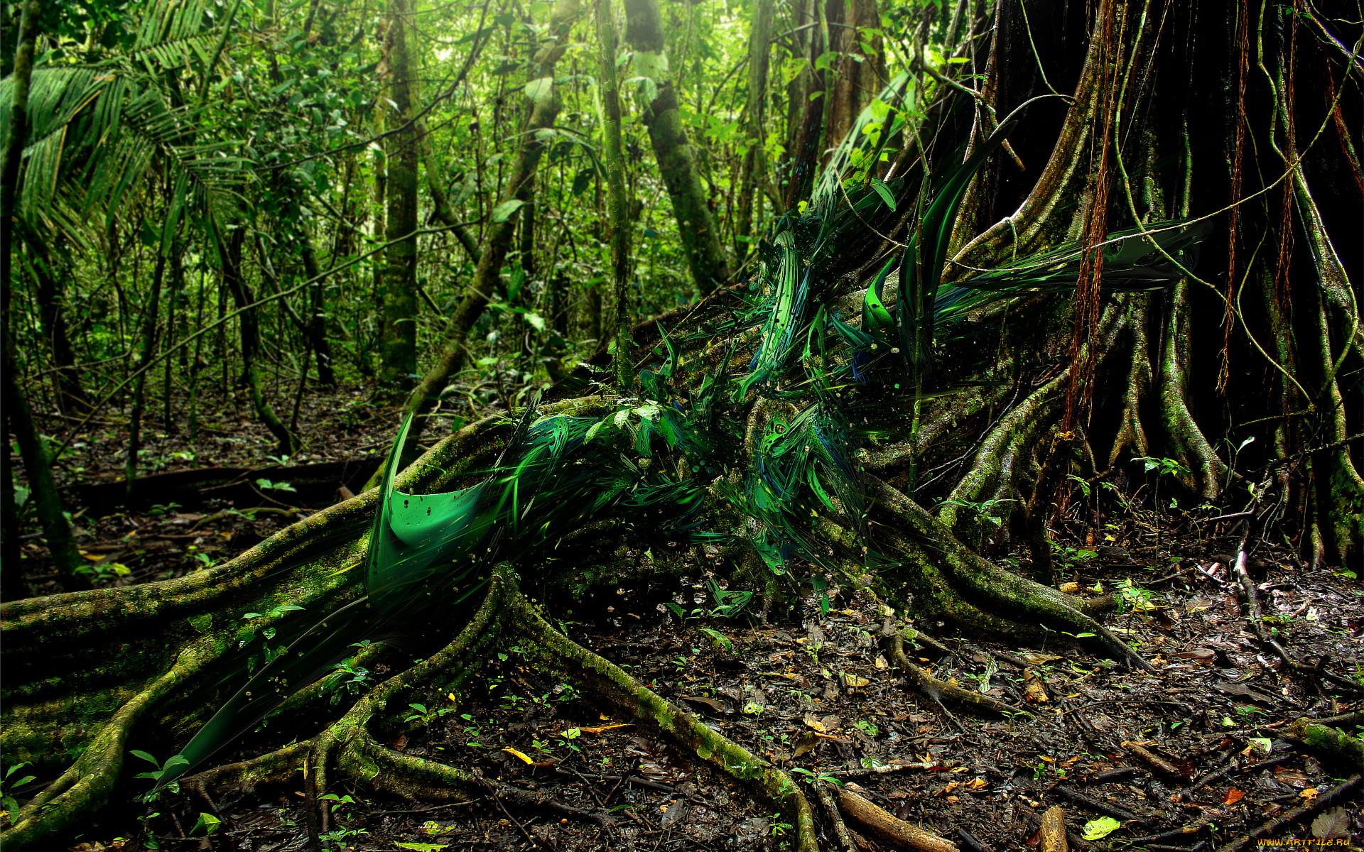 Лесная подстилка тропического леса